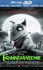 Frankenweenie 3D 1080p Bluray Türkçe Dublaj izle