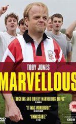 Marvellous 2014 1080p Türkçe Dublaj