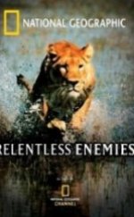 Relentless Enemies – Amansız Düşmanlar Belgesel 720p Belgesel