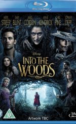 Sihirli Orman Into The Woods 2014 1080p Anamorphic Siyah Bantsız Bluray Türkçe Altyazı izle