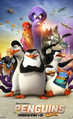 Madagaskar Penguenleri 3D izle, Madagaskar Penguenleri Türkçe Dublaj izle