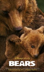 Ayılar – Bears 1080p izle