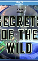 National Geographic Secrets of the Wild 1080p izle