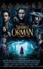 Sihirli Orman – In the Woods izle Türkçe Dublaj | Altyazılı izle