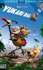 Yukarı Bak izle, Up Türkçe Dublaj 1080p