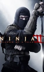 Ninja Shadow of a Tear – Ninja II Gözyaşını Gölgesi 1080p Bluray Full HD izle