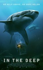 Derin Sular – In the Deep 2016 Altyazılı izle