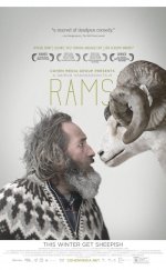 Rams – İnatçılar 2015 Full 1080p izle