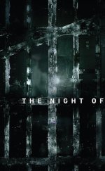 The Night Of izle – Tüm Sezonlar 1080p