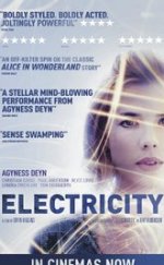 Electricity 2014 1080p izle