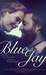 Blue Jay 2015 1080p izle