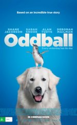 Oddball – Cesur Köpek izle 2015 1080p