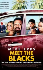 Black Ailesi – Meet the Blacks 2016 Full 1080p izle