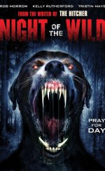 Night of the Wild – Vahşet Gecesi izle HD izle