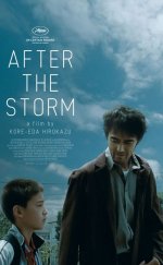 After the Storm – Fırtınadan Sonra izle 2016 HD