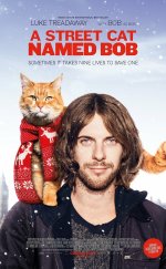 A Street Cat Named Bob – Sokak Kedisi Bob izle 2016 1080p