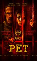 Pet 2016 Full 1080p izle