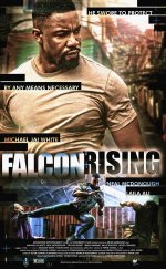 Falcon Rising 1080p Full HD Bluray Türkçe Altyazılı izle