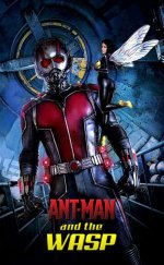 Karınca Adam ve Eşşek Arısı – Ant Man 2 izle 1080p 2018