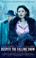 Despite the Falling Snow 1080p izle 2016