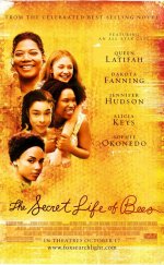 The Secret Life of Bees – Hayatın Getirdikleri 1080p izle 2008