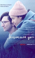 Irreplaceable You – Senin Gibisi Yok izle 1080p 2018