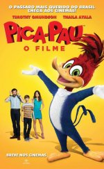 Woody Woodpecker – Ağaçkakan Woody 1080p izle 2017