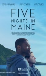 Mainede Beş Gece – Five Nights in Maine izle 1080p 2016