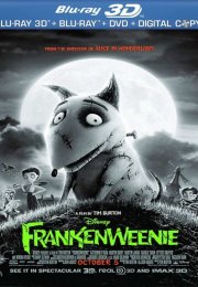 Frankenweenie 3D 1080p Bluray Türkçe Dublaj izle