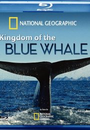 Kingdom of the Blue Whale 720p Bluray Türkçe Dublaj Belgesel