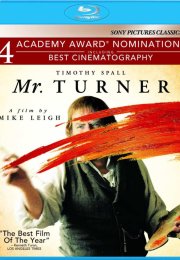 Bay Turner Mr. Turner 2014 1080p BluRay Türkçe Dublaj izle