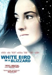 White Bird in a Blizzard 1080p Altyazılı izle