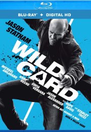 Wild Card Türkçe Dublaj izle