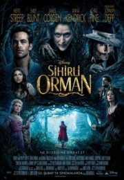 Sihirli Orman – In the Woods izle Türkçe Dublaj | Altyazılı izle