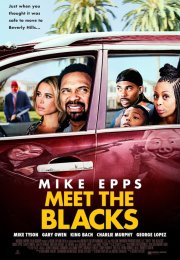 Black Ailesi – Meet the Blacks 2016 Full 1080p izle