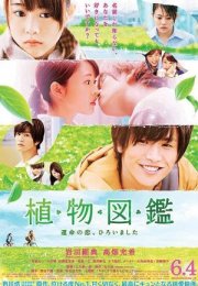 Evergreen Love 2016 HD izle