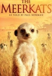 The Meerkats 2008 Full HD izle