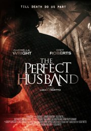 The Perfect Husband – Yalanlar İçinde izle Türkçe Dublaj 2014