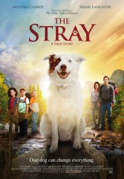 The Stray izle Altyazılı 1080p